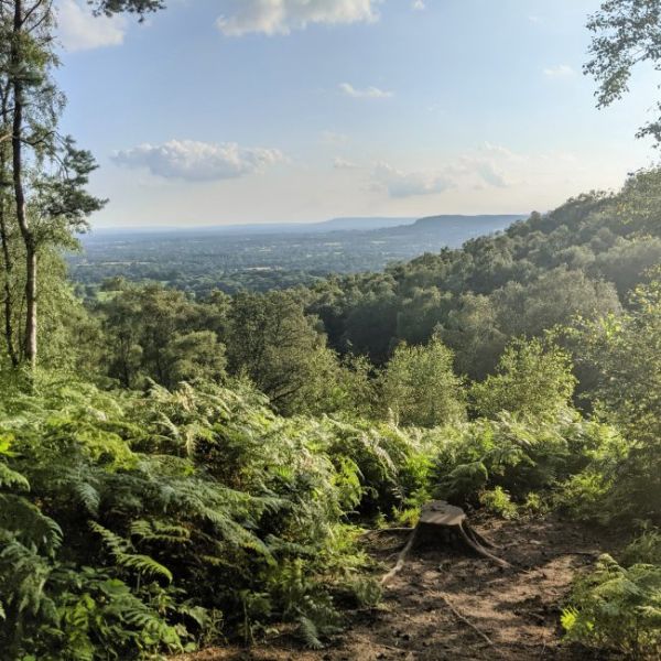 View from Greensand Way
